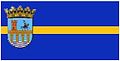 Bandera de Ledesma